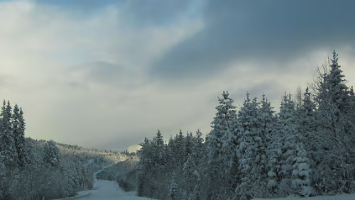 Mosjøen Auf der Fahrt von Trondheim nach Mosjøen