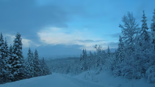 Mosjøen Auf der Fahrt von Trondheim nach Mosjøen