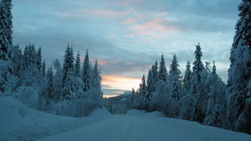 Bognes Die „Piste“