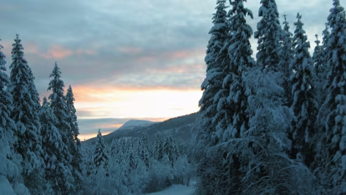 Bognes Die „Piste“