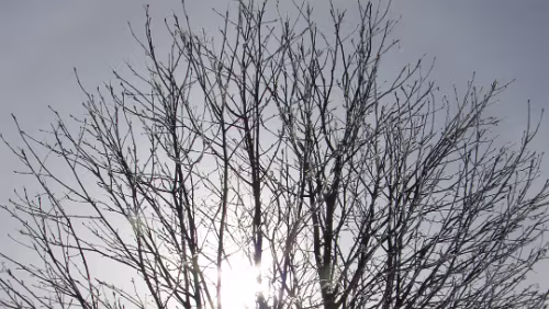 Oslo – Trondheim Am Randsfjorden