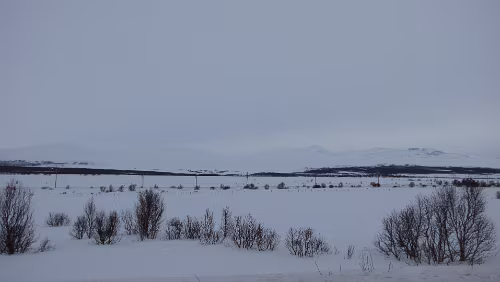 Oslo – Trondheim Auf dem Dovrefjell