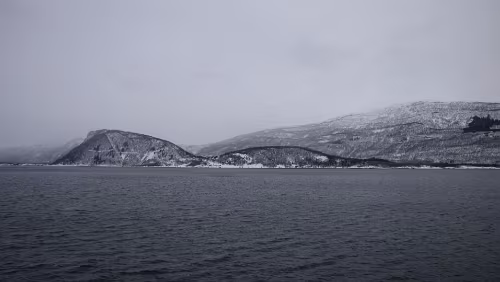 Mosjøen – Harstad Kurz vor Fauske, Skerdalsfjorden