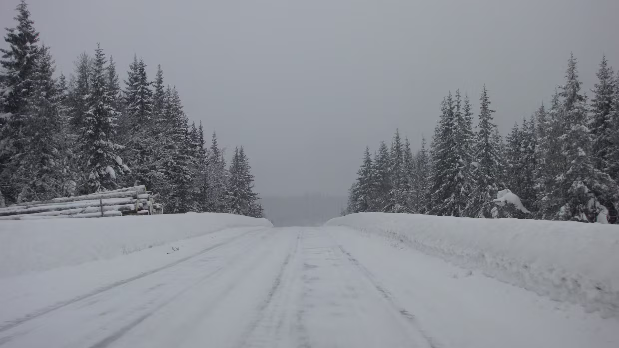 05.03.2009 Trondheim – Geilo