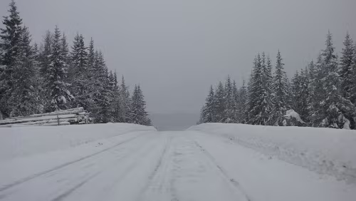 Trondheim – Geilo Auf der 250 zwischen Lillehammer und Dokka