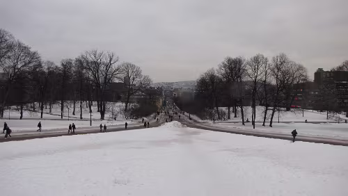 Geilo – Oslo Blick vom Königlichen Schloss auf die Karl Johans gate