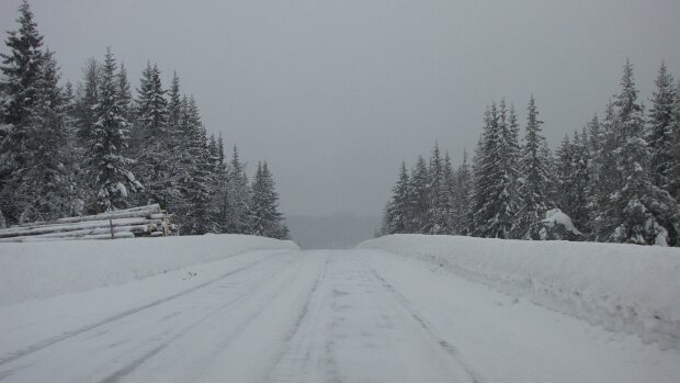 05.03.2009 Trondheim – Geilo Karte – Reiseroute Do 05.03.2009 Trondheim – Oppdal – Dombås – Lillehammer – Dokka – Fagernes – Gol – Geilo Unterkunft...