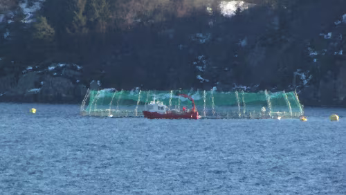 Bergen – Stavanger Fischfarm (verfremdet durch die warmen Abgase des Schiffes)