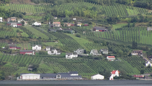 Sandnes – Fotlandsvåg Obstanbau am Sørfjord, östliches Ufer