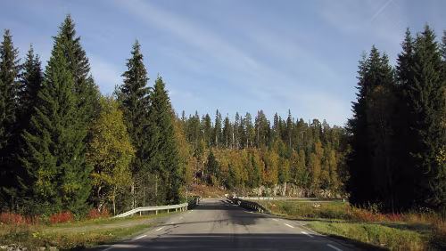 Trondheim – Bognes Auf der E6 nach Grong