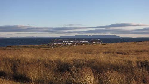 Skarsvåg – Vadsø Trockengestelle für Fische