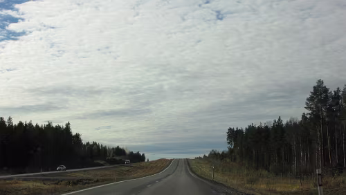 Rovaniemi – Uppsala Auf der E4 kurz vor Skellefteå