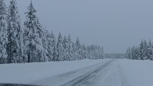 Östersund – Koskullskulle Vor lauter Schnee sieht man den Wald nicht