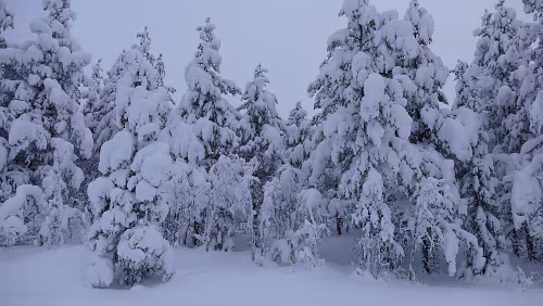 Koskullskulle – Tromsø Noch mehr Schnee geht fast nicht