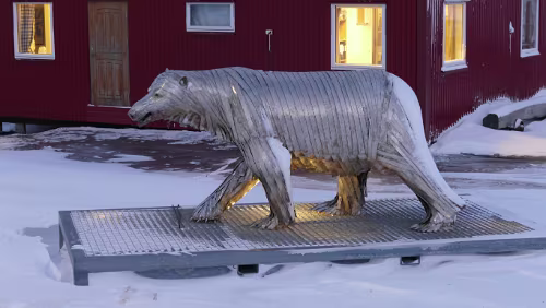 Longyearbyen Eisbär in Sicht