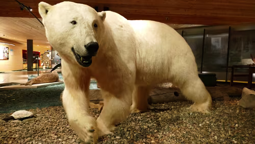 Longyearbyen Ein ganz schöner Brocken