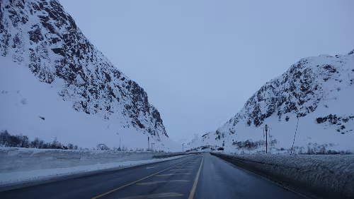 Norheimsund – Kristiansand – Hjørring Seljestadtunnelen er en veitunnel på europavei 134 og riksvei 13 i Odda kommune i Hordaland. Den er 1272 meter lang, og ble åpnet i 1964.
