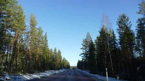 Karlstad – Östersund Vor Vansbro auf der Fahrt nach Östersund