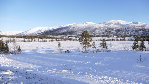 Nesna – Trondheim An der Abzweigung der E6 in den Villmarksveien. Villmarksveien i Nordland er en alternativ veistrekning til Europavei 6 mellom Majavatn og Korgen. Strekningen...
