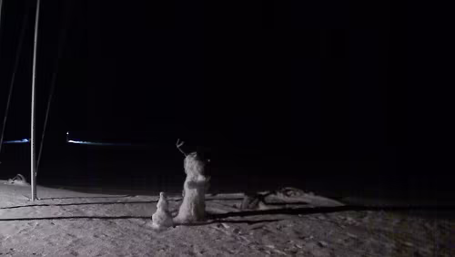 Svalbard WebCams Vollbild - Hornsund Fiord