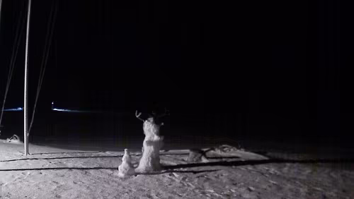 Svalbard WebCams Vollbild - Hornsund Fiord