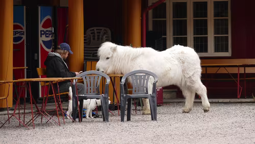 Oslo Ullevålseter er et knutepunkt for turveier, skiløyper og stier i den sørlige delen av Nordmarka. Det går lysløype til Ullevålseter både fra Sognsvann og...