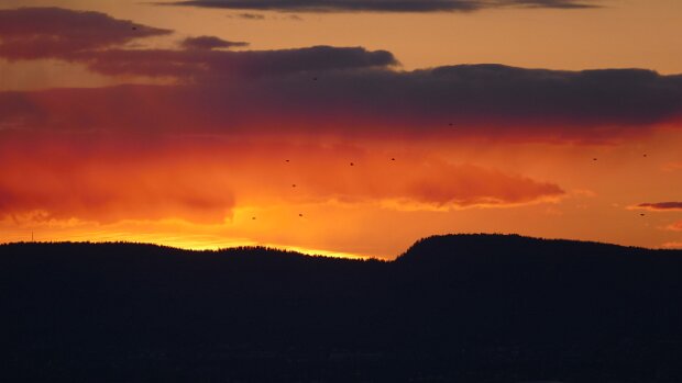 18.04.2017 Malmö – Oslo Karte – Reiseroute Di 18.04.2017 Malmö – Oslo, 5 Std. 37 Min. / 555 km Unterkunft Unterkunft Aktuelle Wetteraussichten...