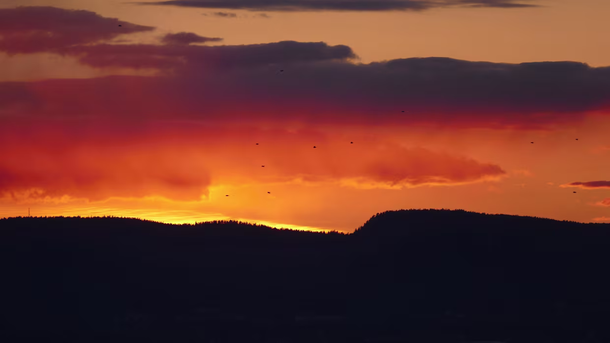 18.04.2017 Malmö – Oslo Karte – Reiseroute Di 18.04.2017 Malmö – Oslo, 5 Std. 37 Min. / 555 km Unterkunft Unterkunft Aktuelle Wetteraussichten...