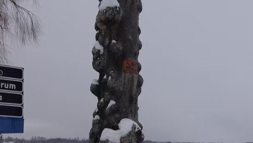 Kristinehamn – Östersund Früher ohne die Regulierung des Sees durch ein Kraftwerksdamm stand einem hier das Wasser weit über den Hals