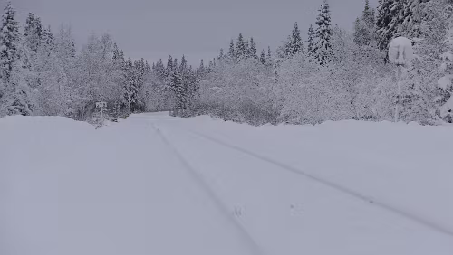 Östersund – Fauske An der Haltestelle Fiandberg