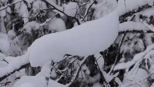 Östersund – Fauske An der Haltestelle Fiandberg