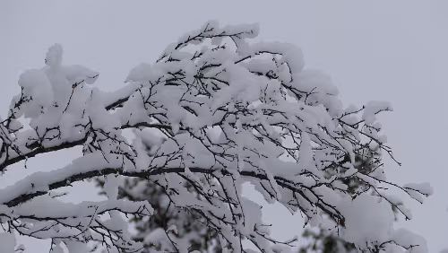 Östersund – Fauske An der Haltestelle Fiandberg