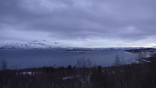 Saltstraumen – Trondheim Unterwegs auf dem Fylkesvei 812, Blick auf den Misværfjorden