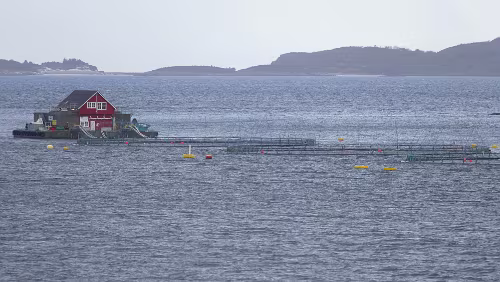 Trondheim – Bergen Eine der unzähligen Fischfarmen an der Küste
