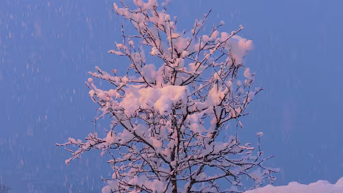 Bergen – Norheimsund Norheimsund liegt wie Bergen auf Meereshöhe, aber in Bergen hat es in Strömen geregnet, in Norheimsund schneit es wie wild
