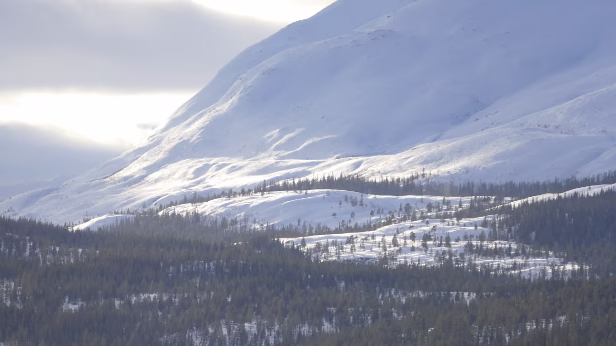 06.02.2018 Saltstraumen – Trondheim Karte – Reiseroute Di 06.02.2018 Saltstraumen – Trondheim, „Best Western Chesterfield Hotel“, 9 Std. 30 Min. (690 km)...