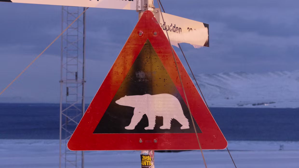 Epilog 2018/01 Dank Klimaerwärmung habe ich die vergessenen dicken Socken auf Svalbard nicht vermisst (die lagen übrigens zu Hause im...