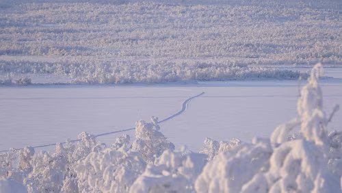 Puoltikasvaara – Tromsø Einsame Spur über einen zugefrorenen See