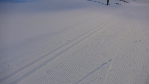 Longyearbyen Skilanglauf ist möglich 😎