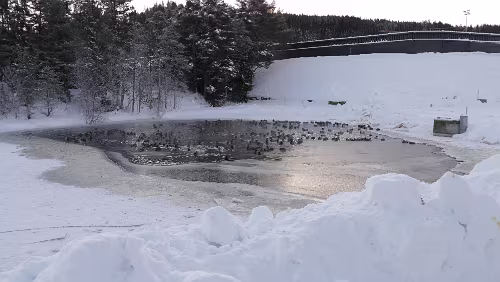 Trondheim – Kristiansund Am Granåsen skisenter
