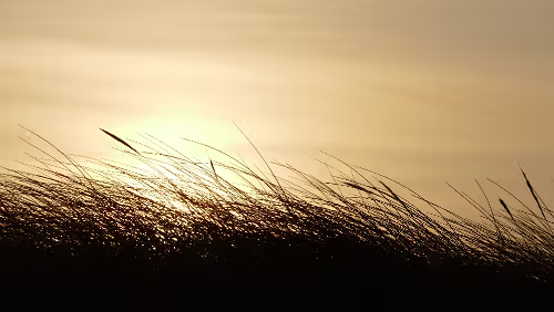 Hjørring – Vågsli Sonnenaufgang