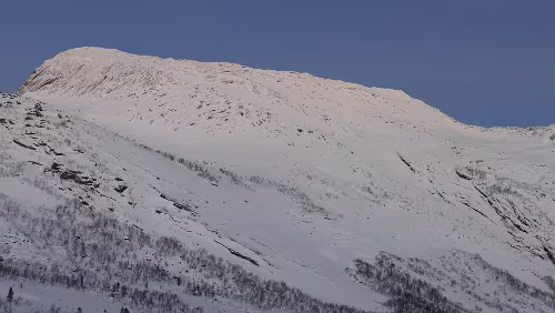 Storjord i Tysfjord – Tromsø Auf einer kleinen Anhöhe