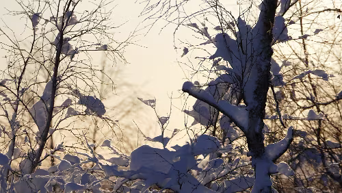 Tromsø – Vuollerim In Finnland