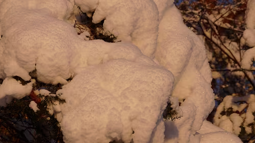 Vuollerim – Östersund Schnee, kalt, Sonne, schön...