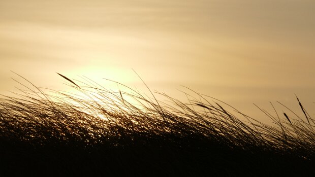 25.01.2020 Hjørring – – Vågsli Karte – Reiseroute Sa 25.01.2020 Hjørring – Hirtshals – – Kristiansand – Vågsli, 7 Std. 7 Min. (411 km) Unterkunft...