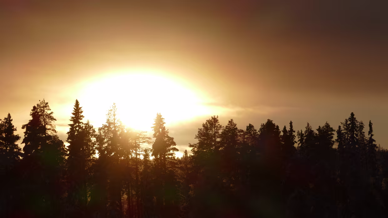 09.02.2022 Vuollerim – Östersund Karte – Reiseroute Mi 08.02.2022 Vuollerim – Östersund, 8 Std. 20 Min. (633 km) Eniro Routenvorschlag Aktuelle...