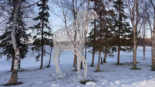 Sunne – Östersund Der Elch hat die Straßenseite gewechselt.