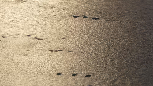 Longyearbyen – Tromsø Die ersten Inseln des Festlandes.