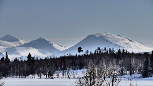 Innhavet – Mosjøen Am Fustvatnet.