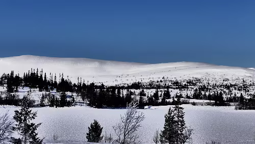 Mosjøen – Trondheim Immer noch am Villmarksveien .